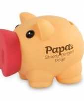 Vaderdag verjaardag spaarvarken spaarpot papas stoere dingen potje